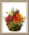 Blue Orchid Flower Shop, 115 W Williams St, Abbeville, AL 36310, (334)_585-3251